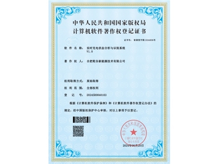 实时充电状态分析与识别系统